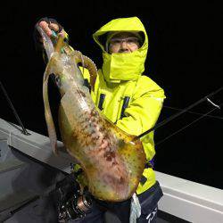 South Current 釣果