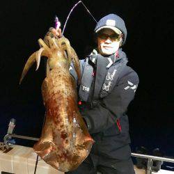 South Current 釣果