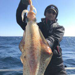 South Current 釣果