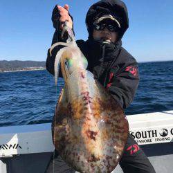 South Current 釣果