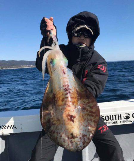 South Current 釣果