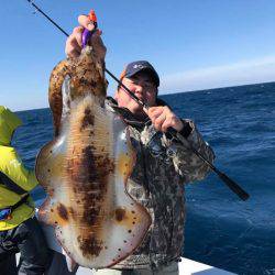 South Current 釣果