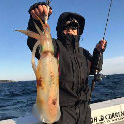 South Current 釣果