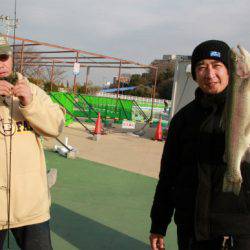 としまえんフィッシングエリア 釣果