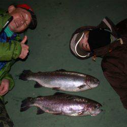 としまえんフィッシングエリア 釣果