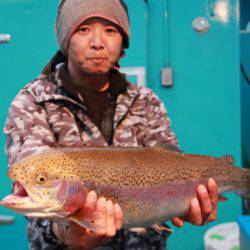 としまえんフィッシングエリア 釣果