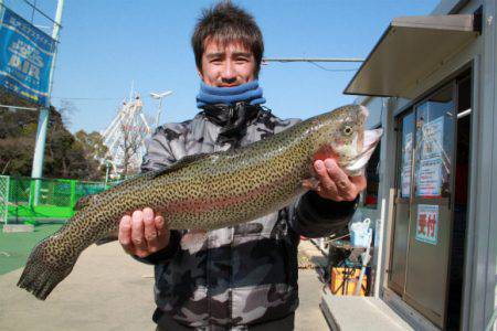 としまえんフィッシングエリア 釣果