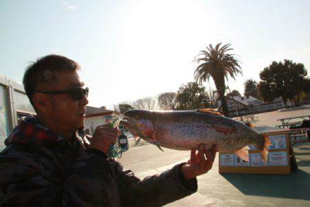 としまえんフィッシングエリア 釣果
