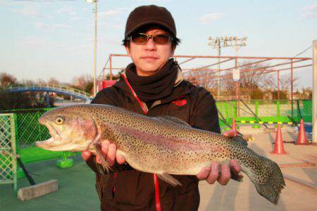 としまえんフィッシングエリア 釣果
