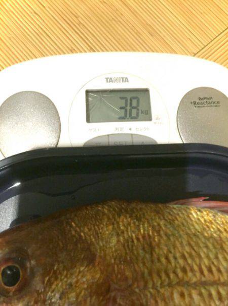 THESEAMAN(ザシーマン) 釣果