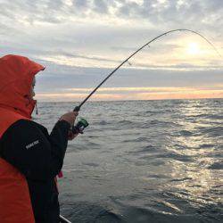 South Current 釣果