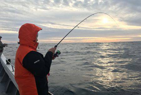 South Current 釣果