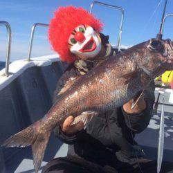 South Current 釣果