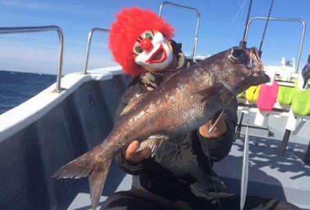 South Current 釣果