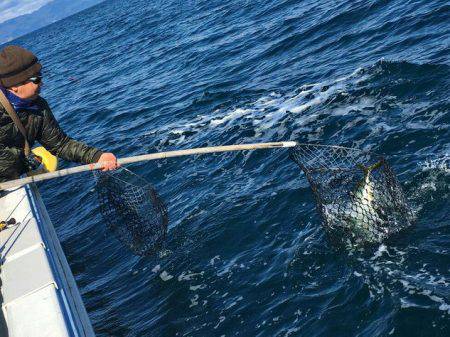 Big One　ビッグワン 釣果