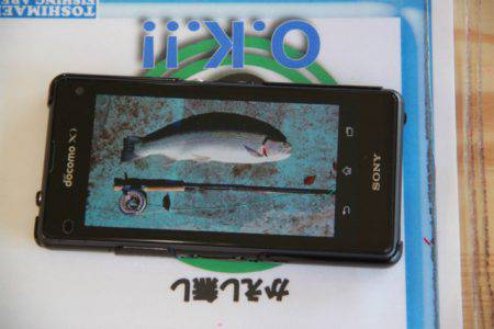 としまえんフィッシングエリア 釣果