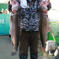 としまえんフィッシングエリア 釣果