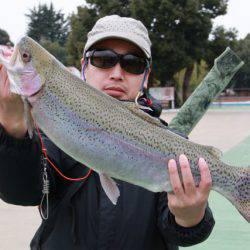 としまえんフィッシングエリア 釣果