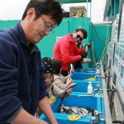 としまえんフィッシングエリア 釣果