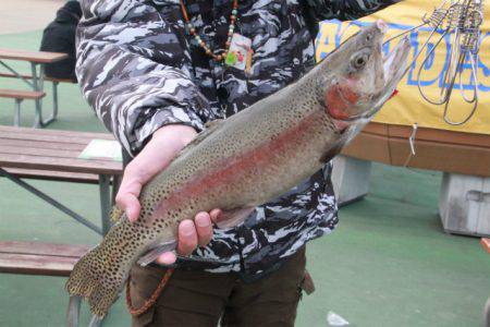 としまえんフィッシングエリア 釣果