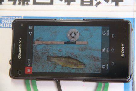 としまえんフィッシングエリア 釣果