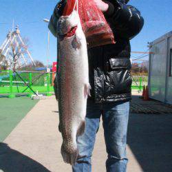 としまえんフィッシングエリア 釣果