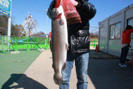 としまえんフィッシングエリア 釣果