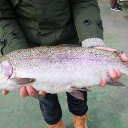 としまえんフィッシングエリア 釣果