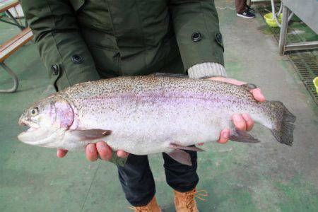 としまえんフィッシングエリア 釣果