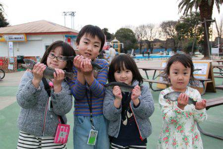 としまえんフィッシングエリア 釣果