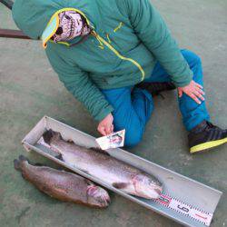 としまえんフィッシングエリア 釣果