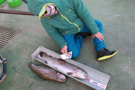 としまえんフィッシングエリア 釣果