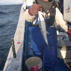 芳陽丸 釣果