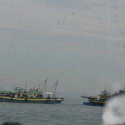 フィッシング キッタカ 釣果