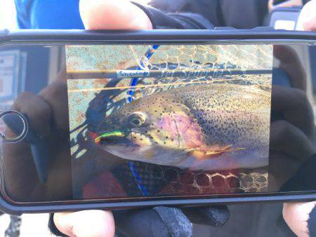 としまえんフィッシングエリア 釣果