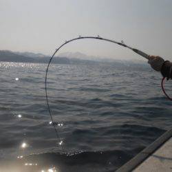金栄丸 釣果