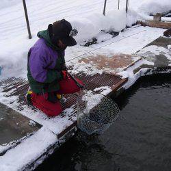 つりぼりあかし 釣果
