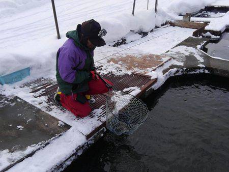 つりぼりあかし 釣果