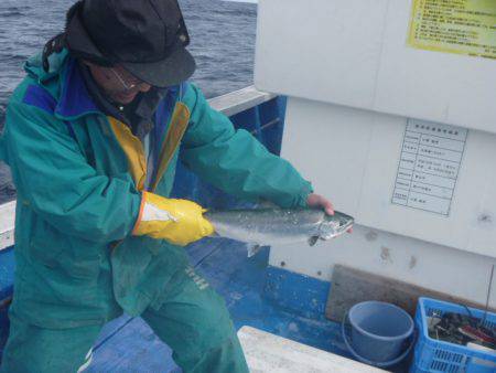 芳陽丸 釣果