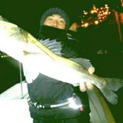 THESEAMAN(ザシーマン) 釣果