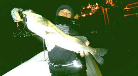 ＴＨＥＳＥＡＭＡＮ（ザシーマン） 釣果