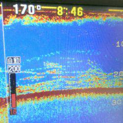 ＴＨＥＳＥＡＭＡＮ（ザシーマン） 釣果