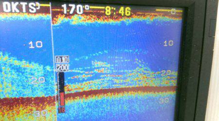 ＴＨＥＳＥＡＭＡＮ（ザシーマン） 釣果