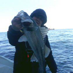 THESEAMAN(ザシーマン) 釣果