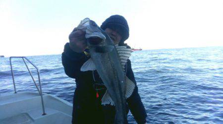 THESEAMAN(ザシーマン) 釣果