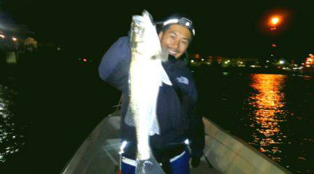 THESEAMAN(ザシーマン) 釣果