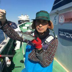 金沢八景鴨下丸 釣果