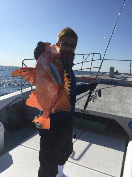 ありもと丸 釣果