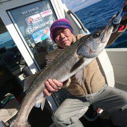 ARCADIAⅡ （アルカディアⅡ） 釣果