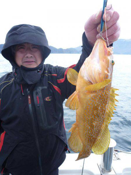 あみや渡船 JIGBOY 釣果